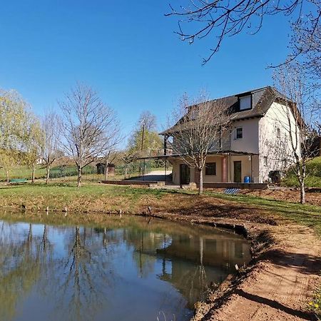 Saint-Côme-dʼOlt Maison De Campagne Avec Lac Priveヴィラ エクステリア 写真